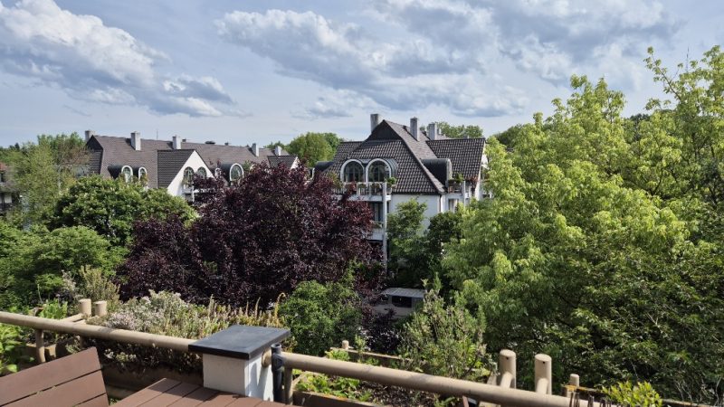 Blick vom Balkon Bild 1